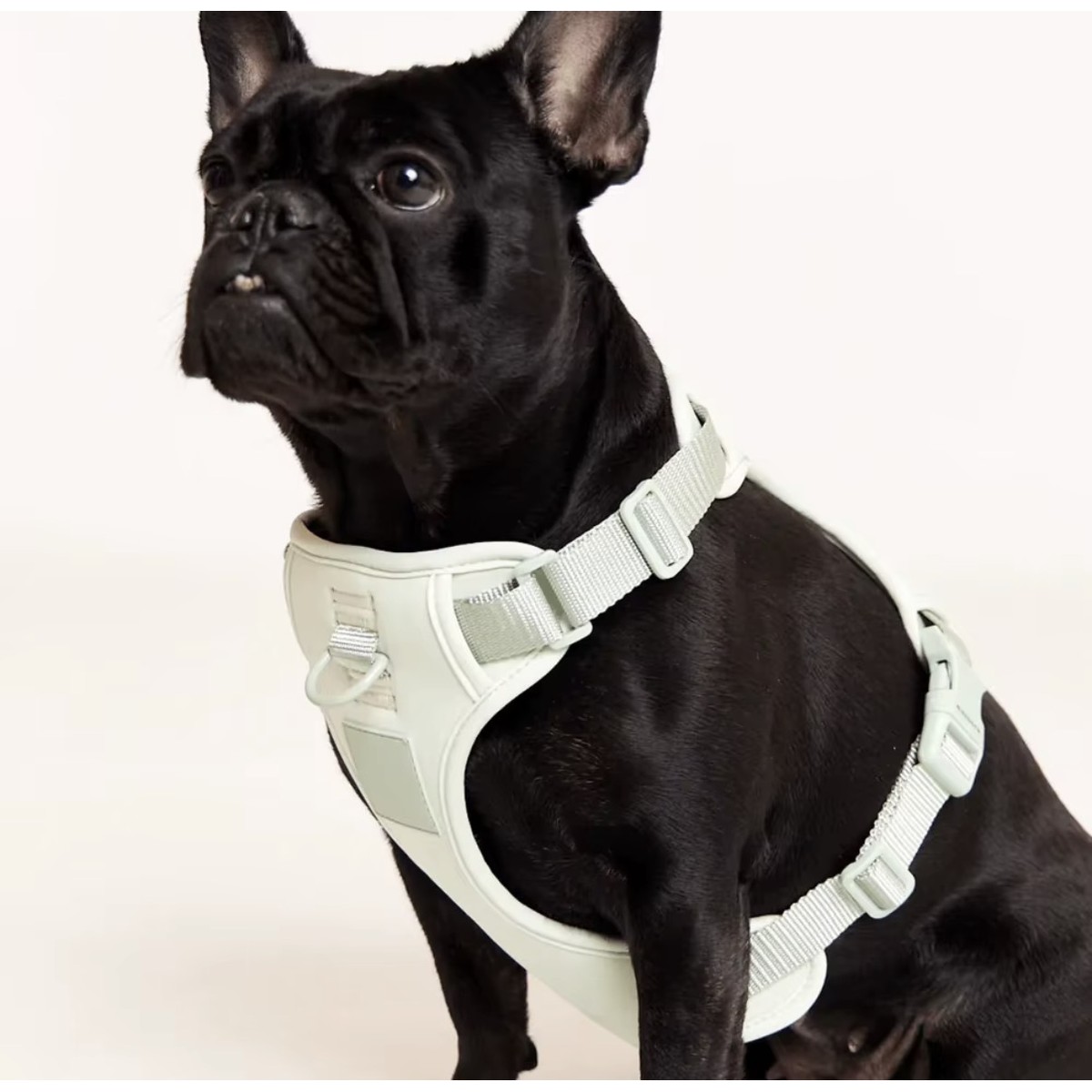 Adjustable Harness (S/M/L)