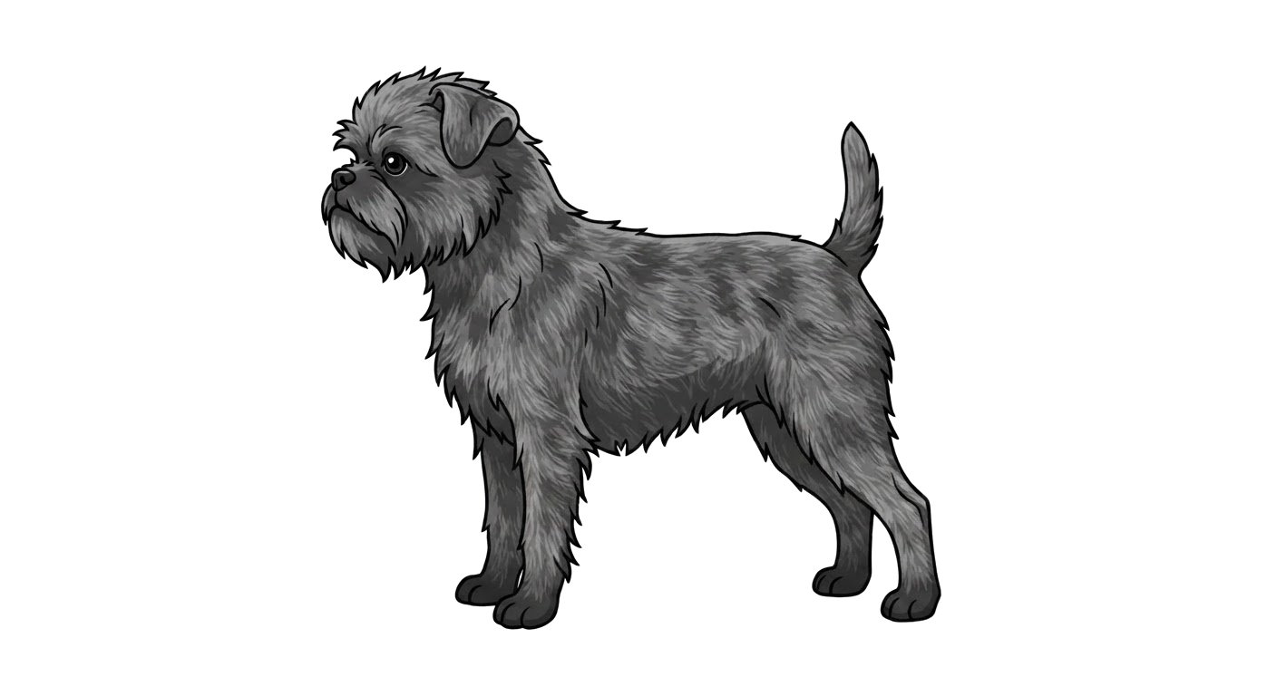 Illustration of a Grey coat