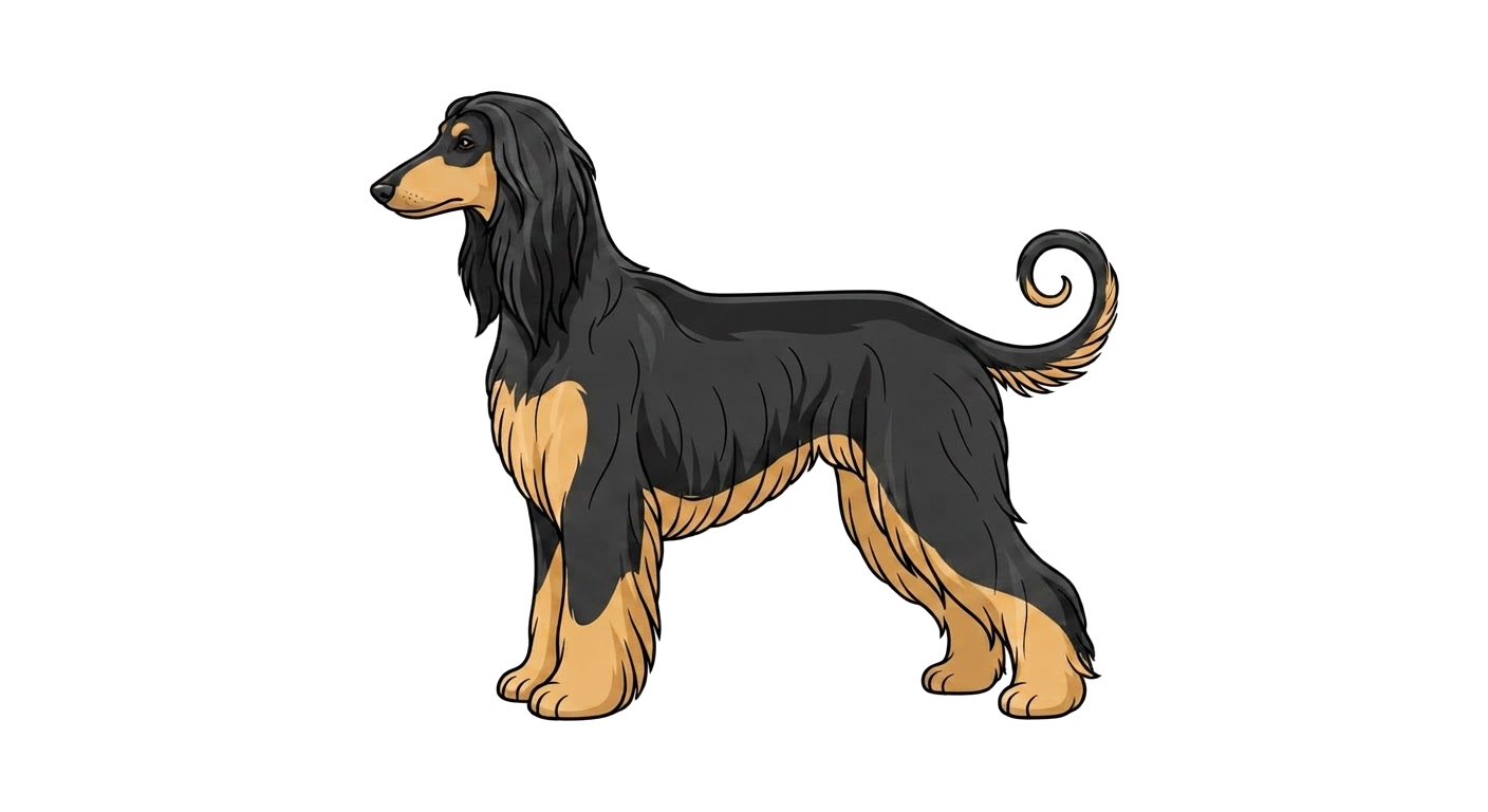 Illustration of a Black and tan coat