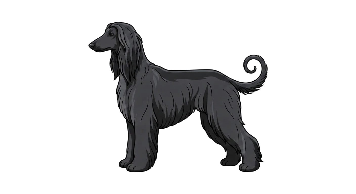 Illustration of a Black coat