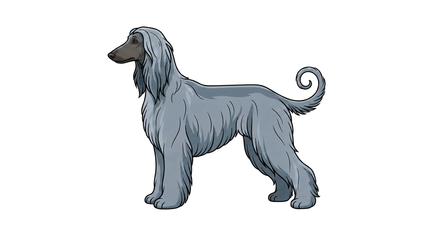 Illustration of a Blue coat