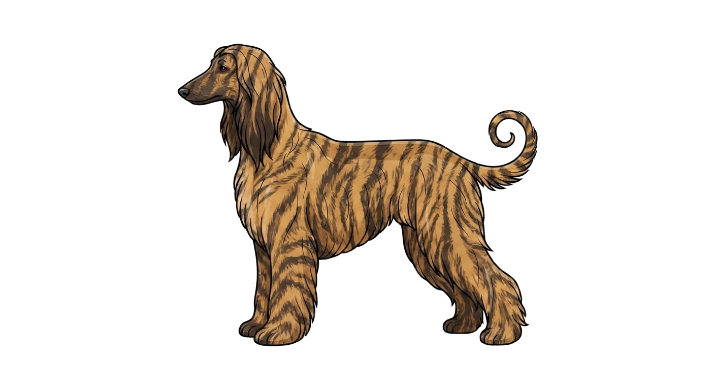 Illustration of a Brindle coat
