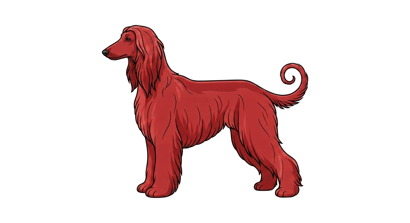 Illustration of a Red coat