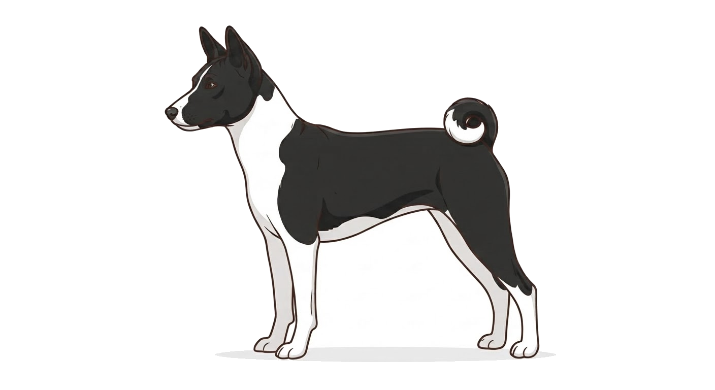 Illustration of a Black and White coat