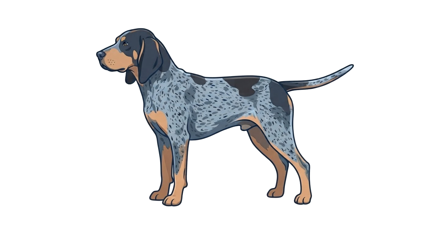 Illustration of a Blue & Ticked coat