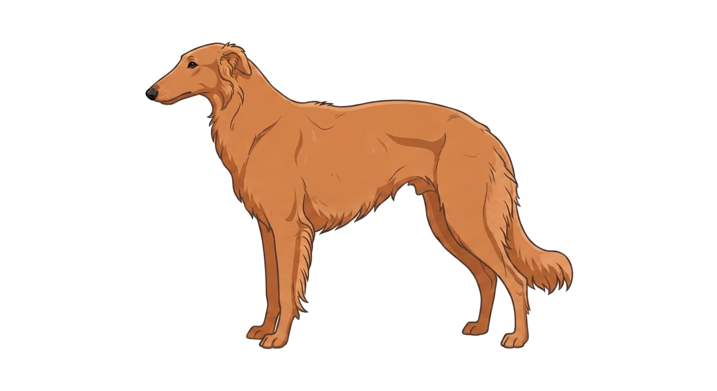 Illustration of a Solid red coat