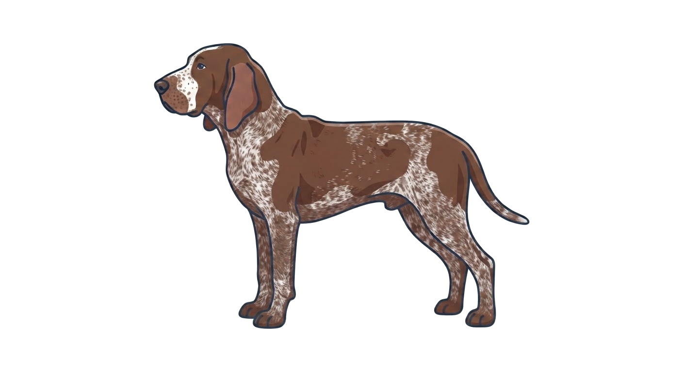 Illustration of a Brown roan coat