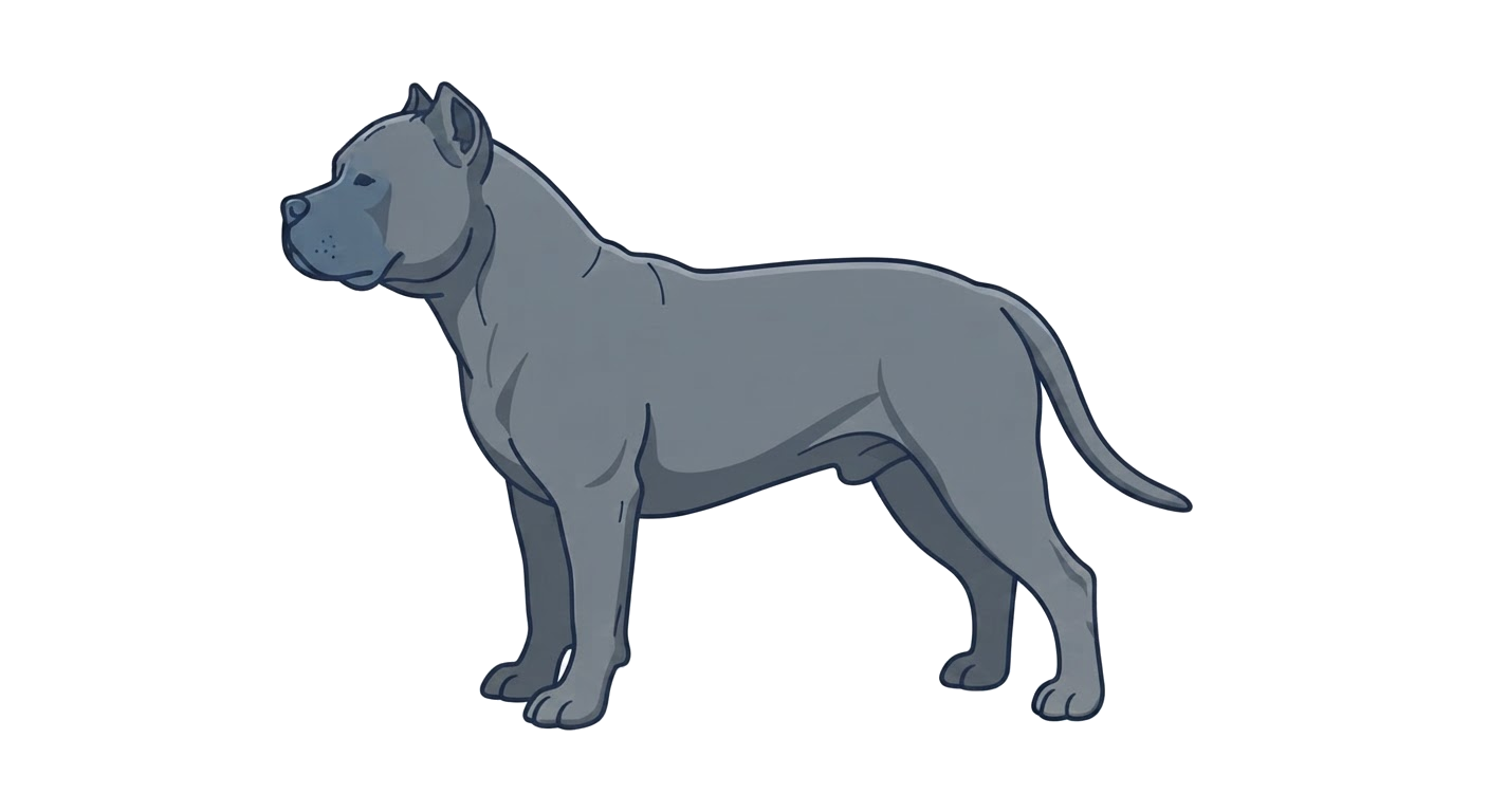 Illustration of a Blue coat