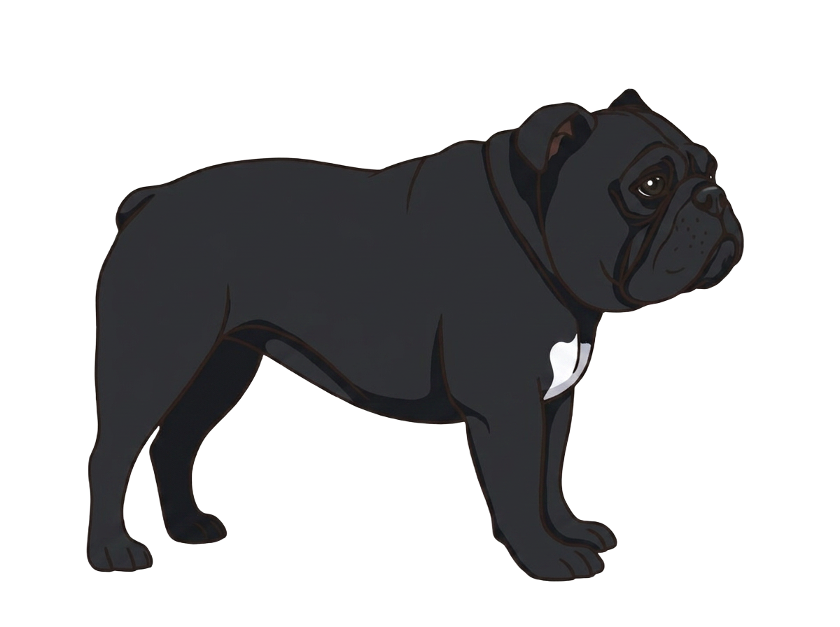 Illustration of a Black coat