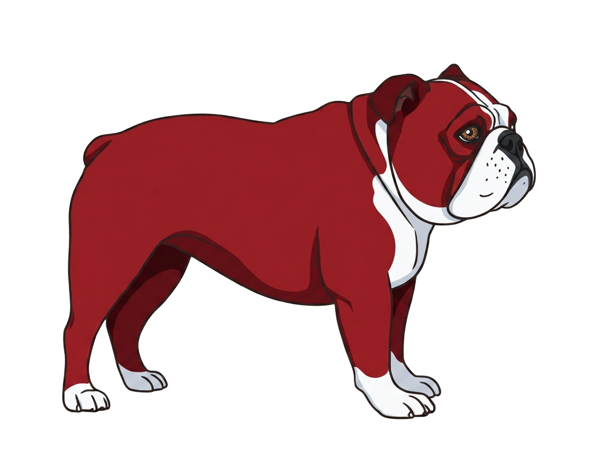 Illustration of a Red coat