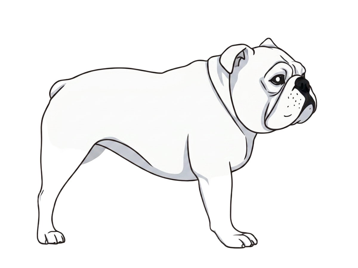 Illustration of a White coat