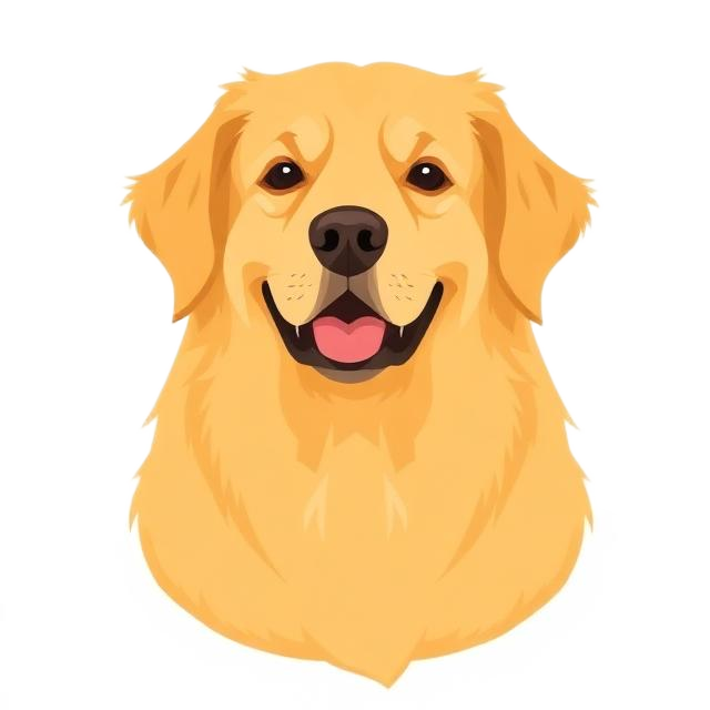 Golden Retriever, the classic doodle parent breed