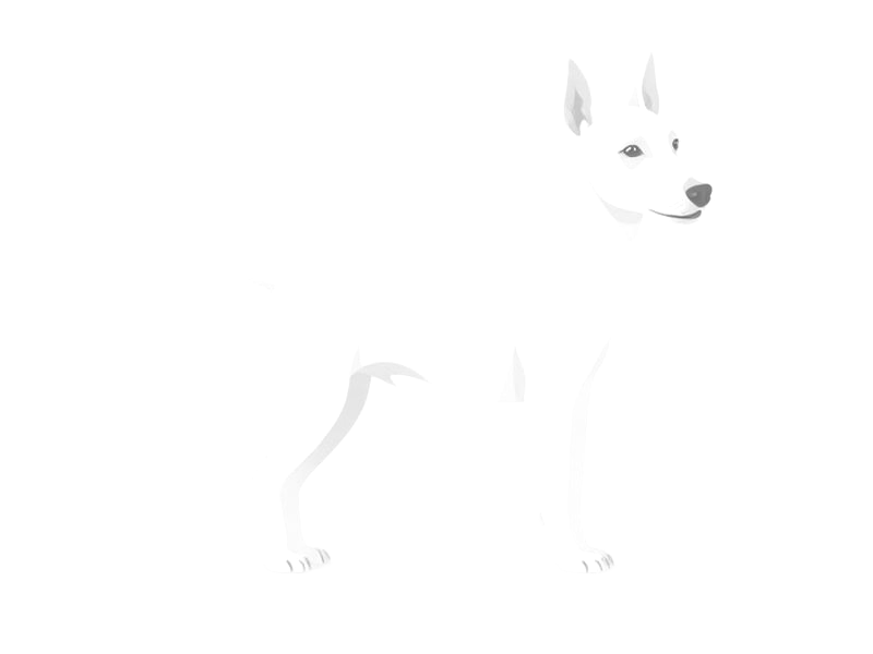Faded illustration of the extinct English White Terrier