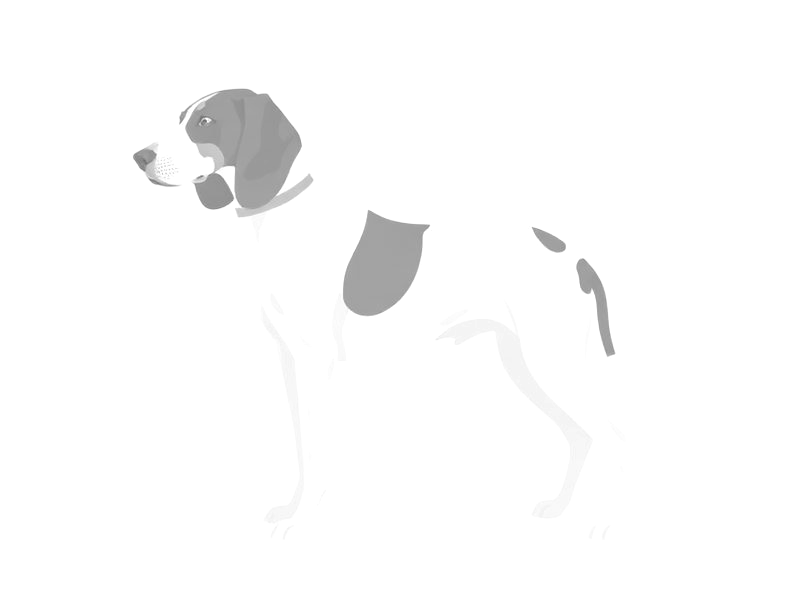 Faded illustration of the extinct Talbot Hound