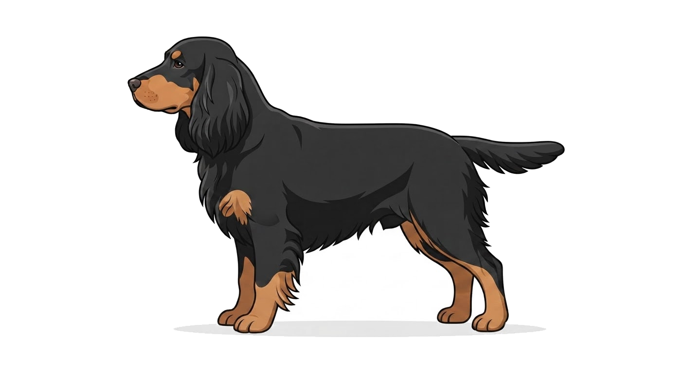 Illustration of a Black and tan coat