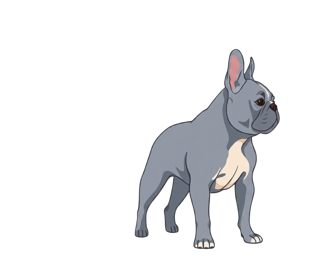 Illustration of a Blue coat