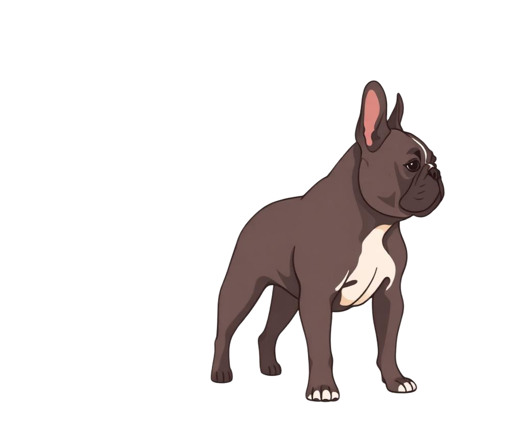 Illustration of a Brindle coat