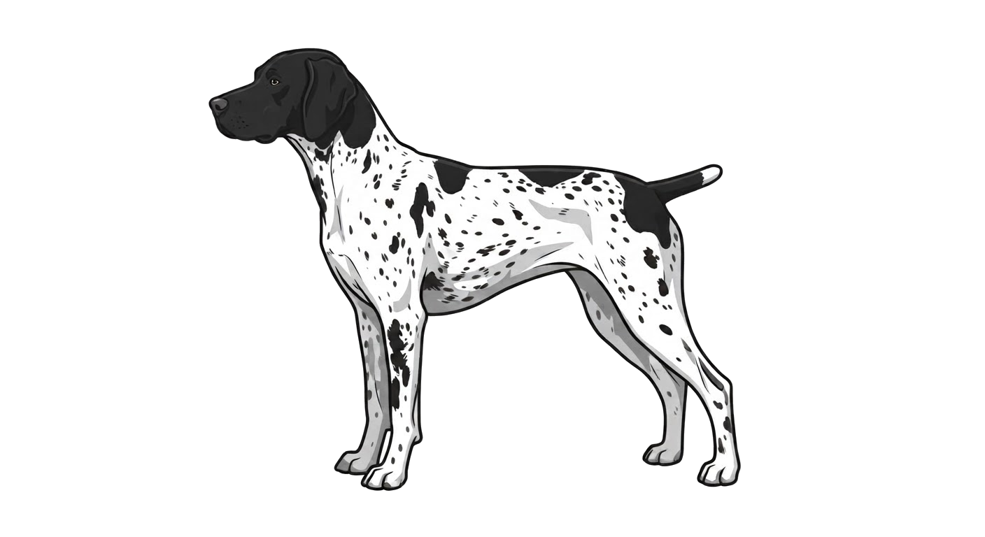 Illustration of a Black coat
