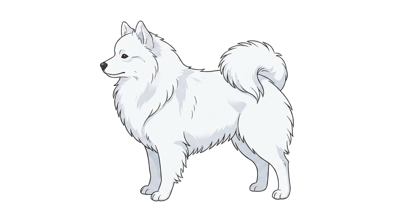 Illustration of a White coat
