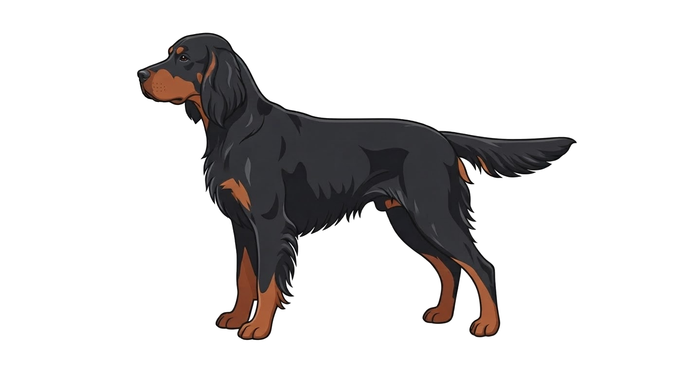 Illustration of a Black and tan coat