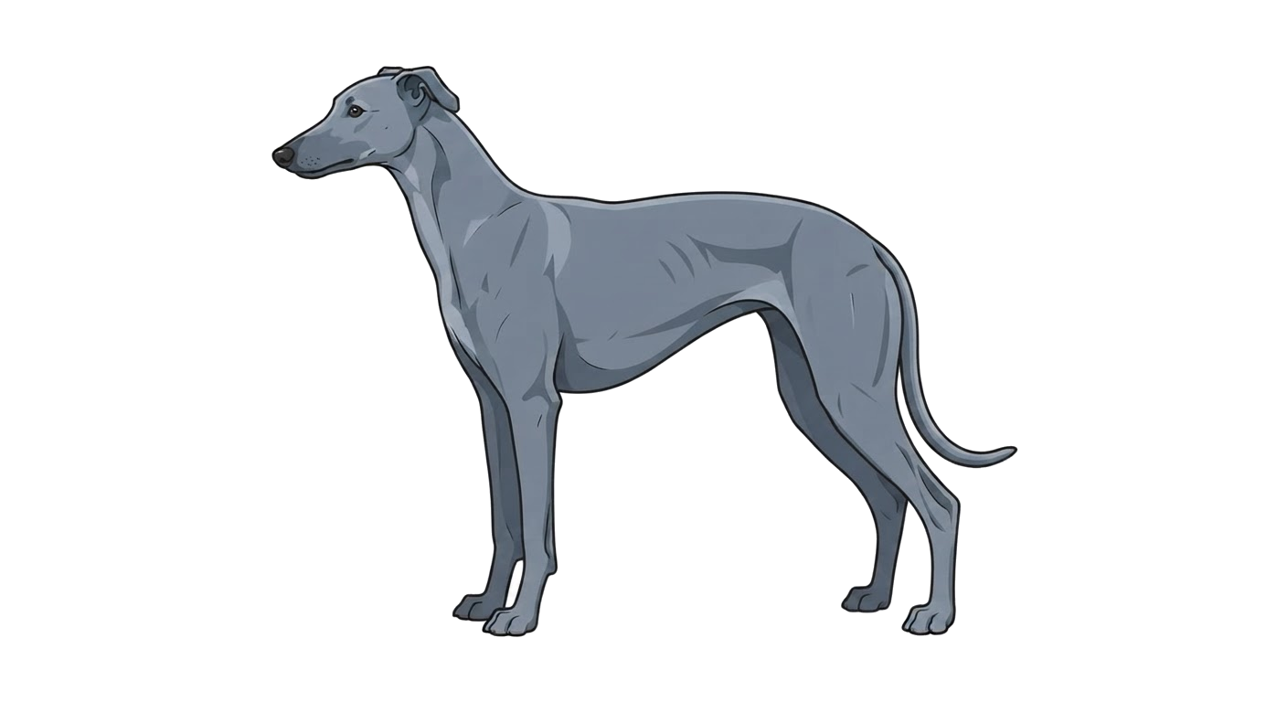 Illustration of a Blue coat