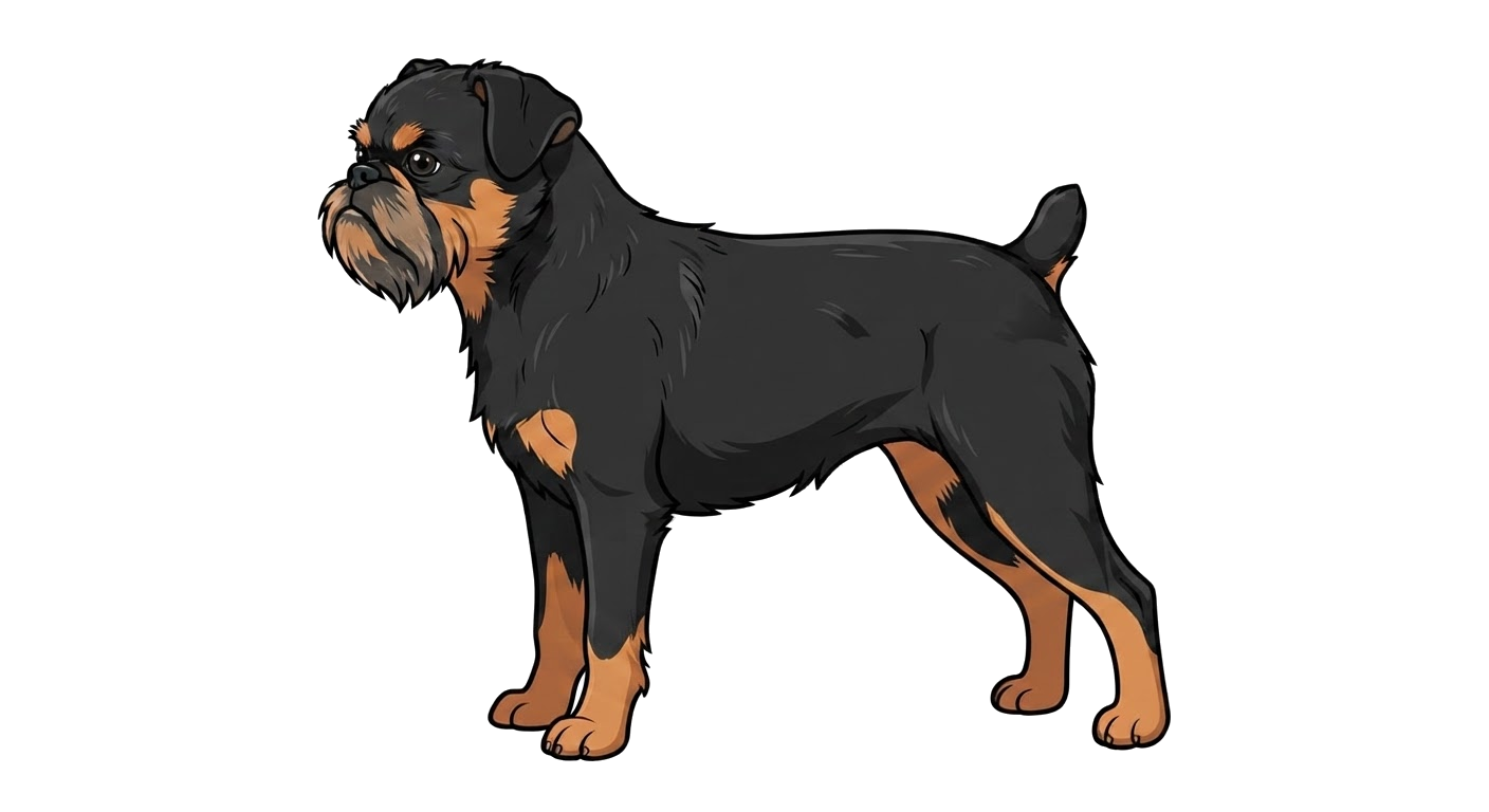 Illustration of a Black and tan coat