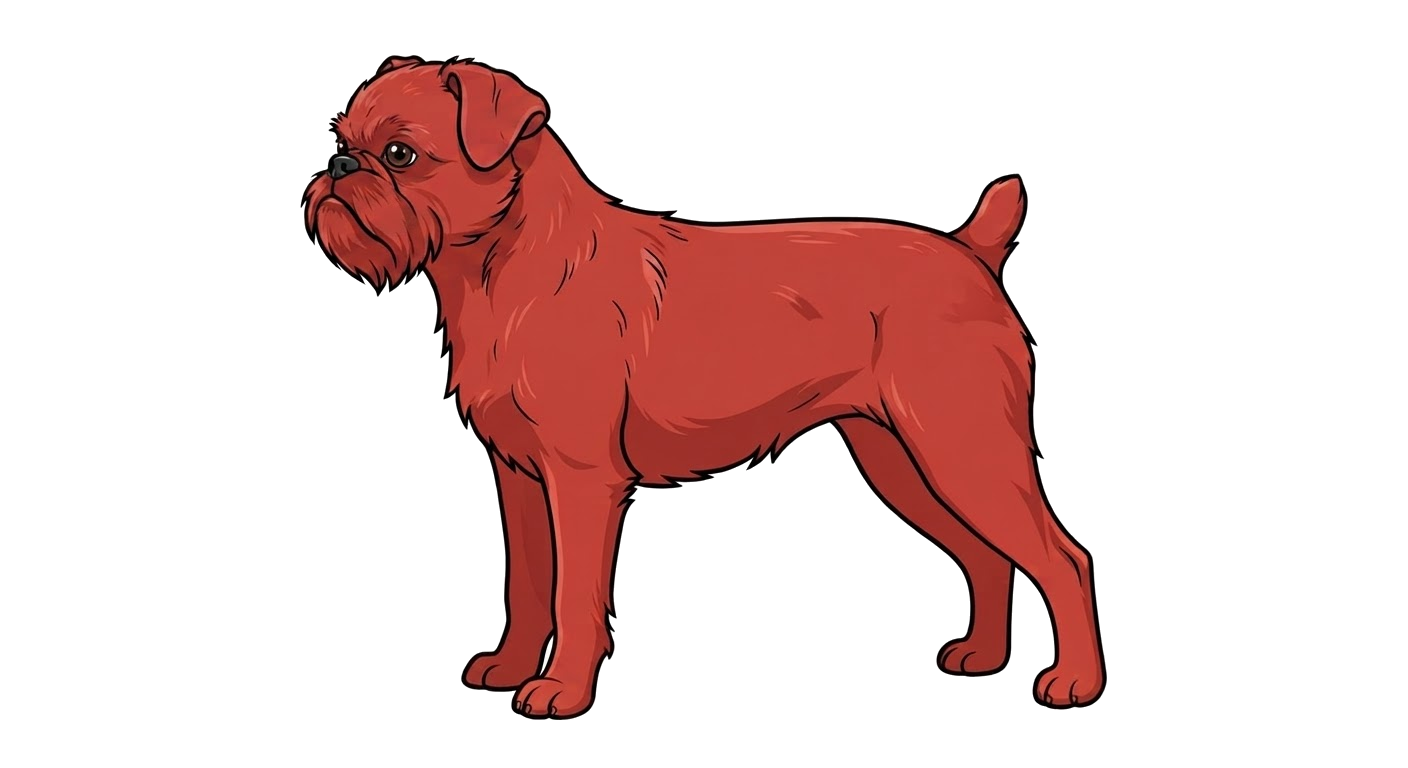 Illustration of a Red coat