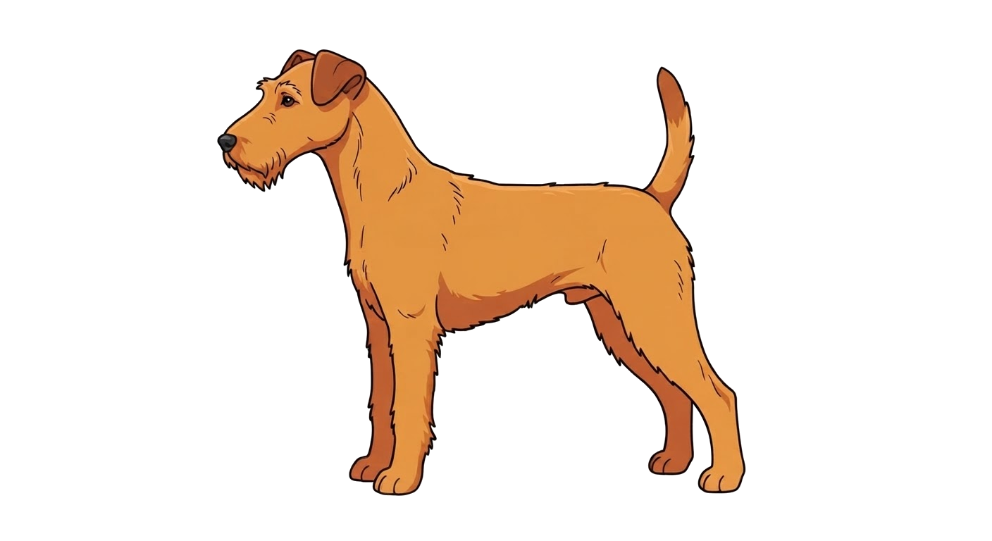 Illustration of a Golden red coat