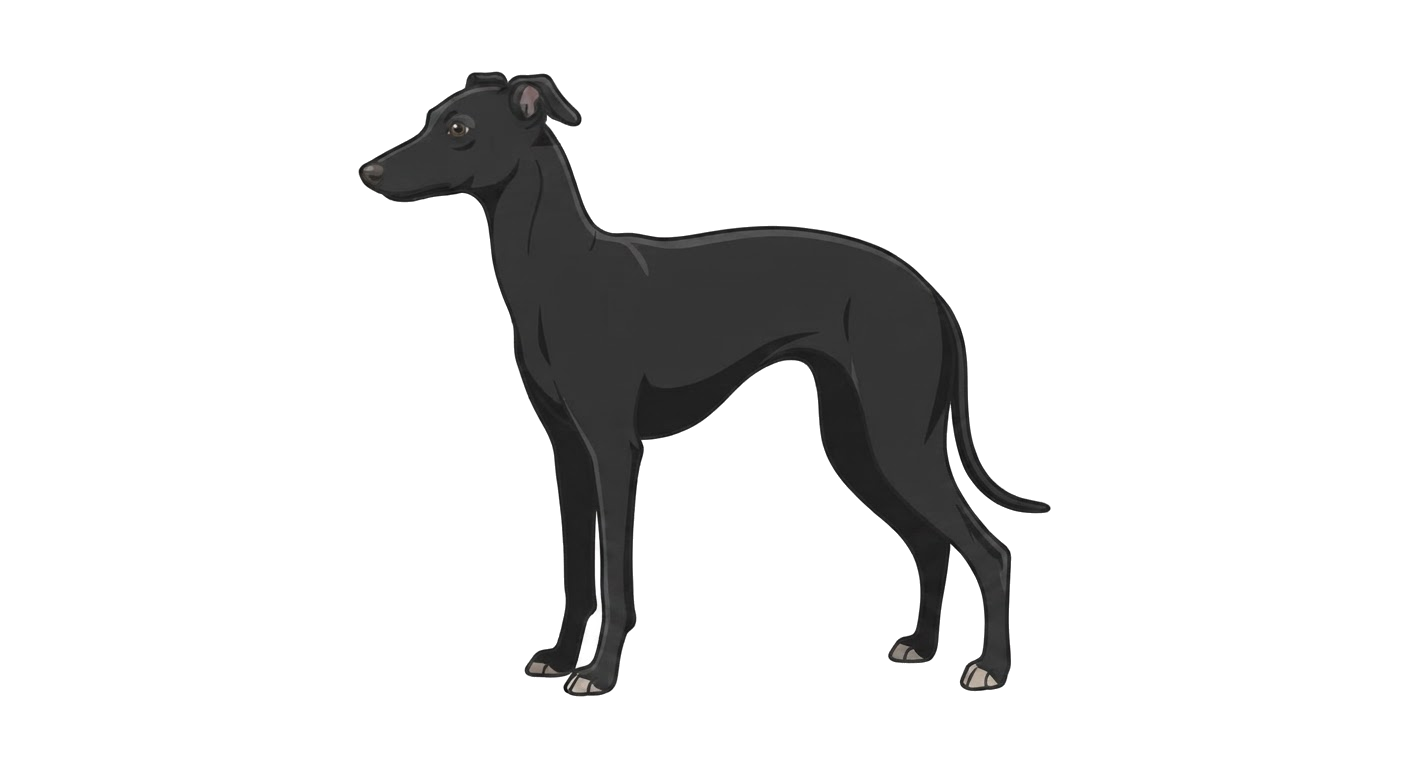 Illustration of a Black coat