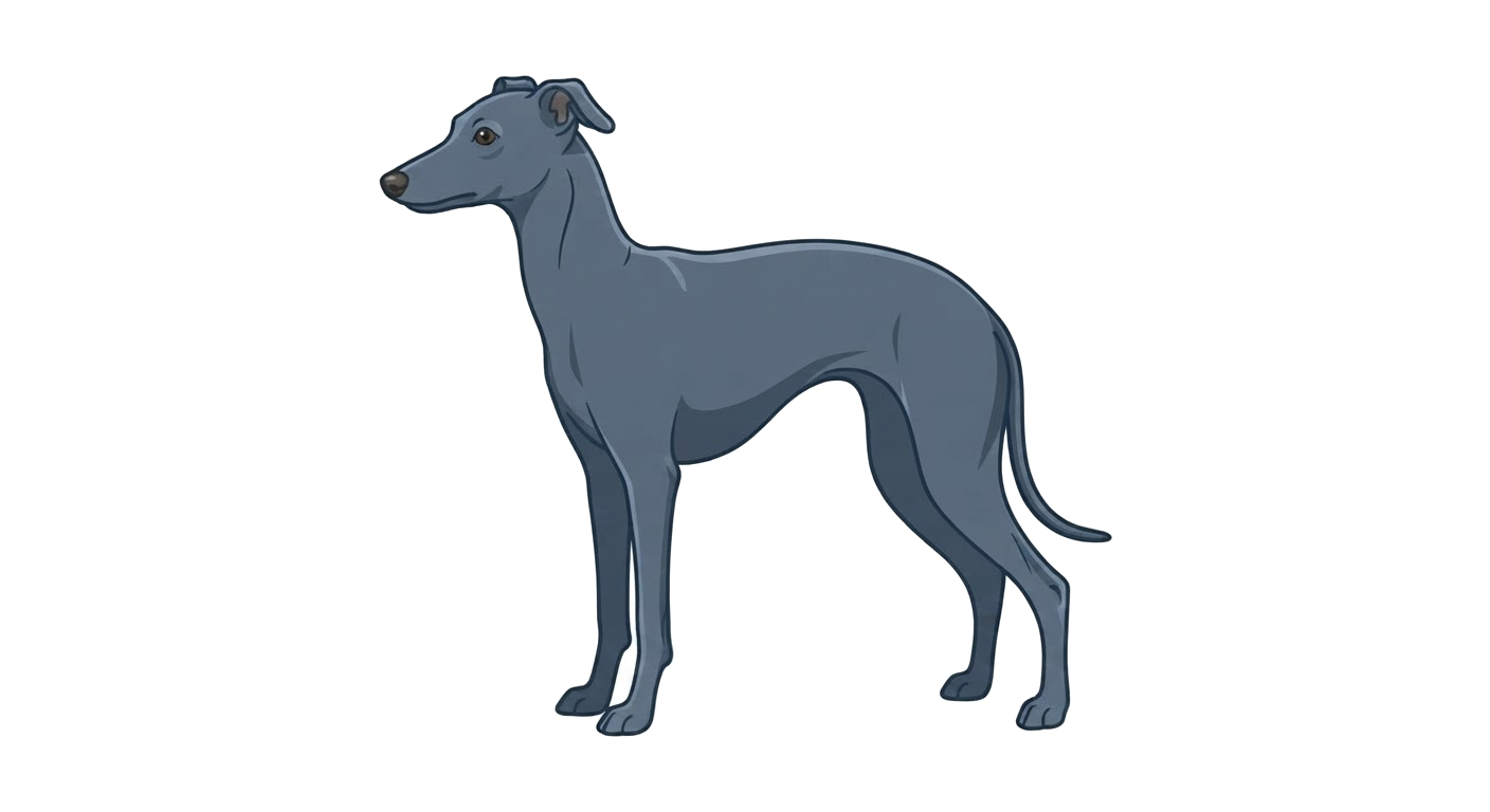 Illustration of a Blue coat