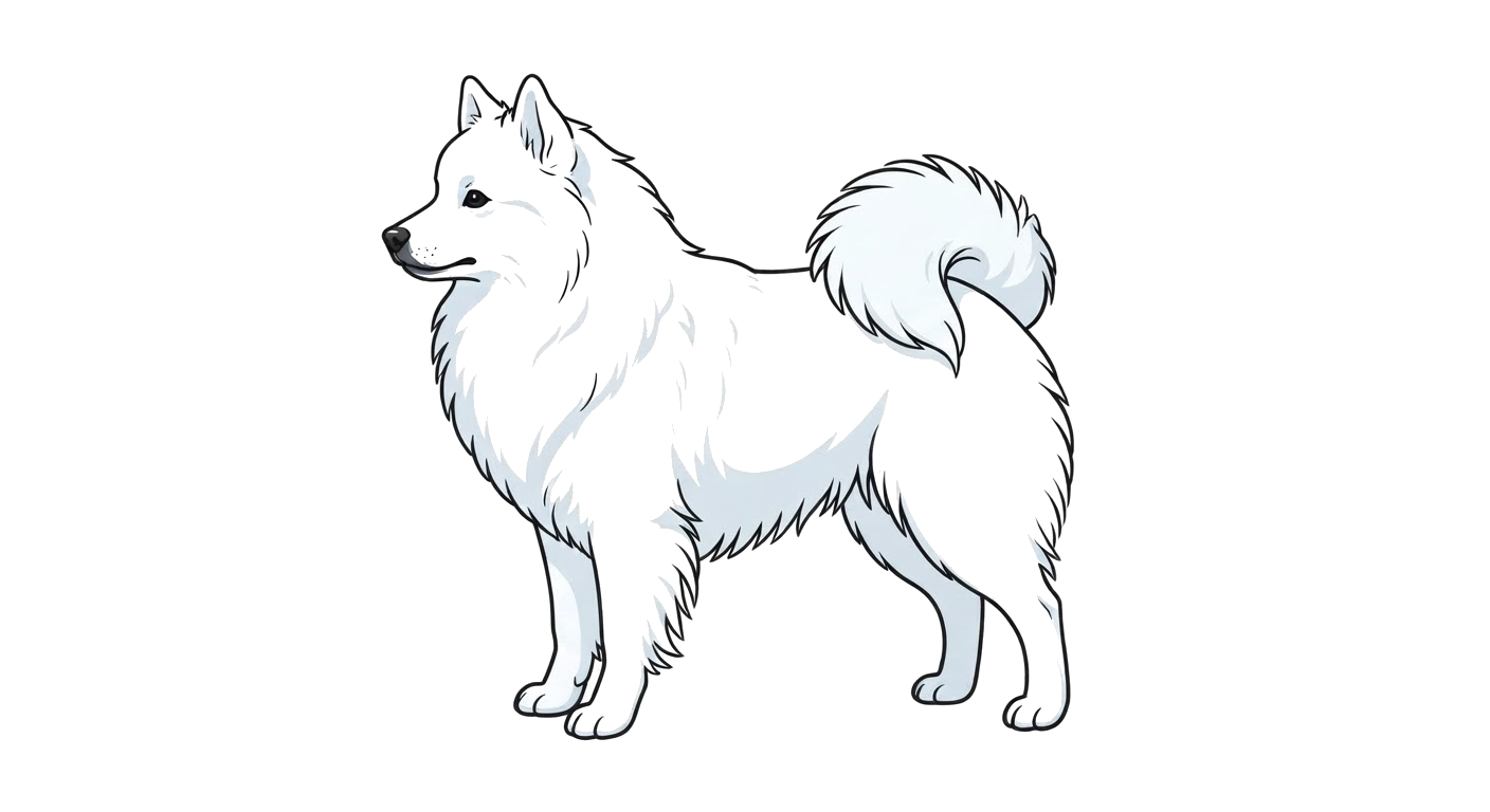 Illustration of a White coat