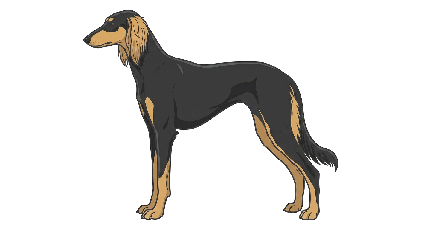 Illustration of a Black & Tan coat