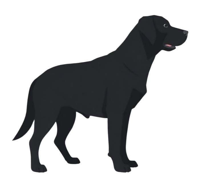 Illustration of a Black coat