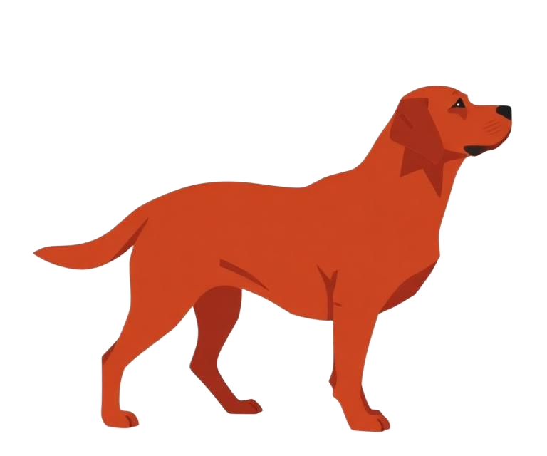 Illustration of a Fox red coat