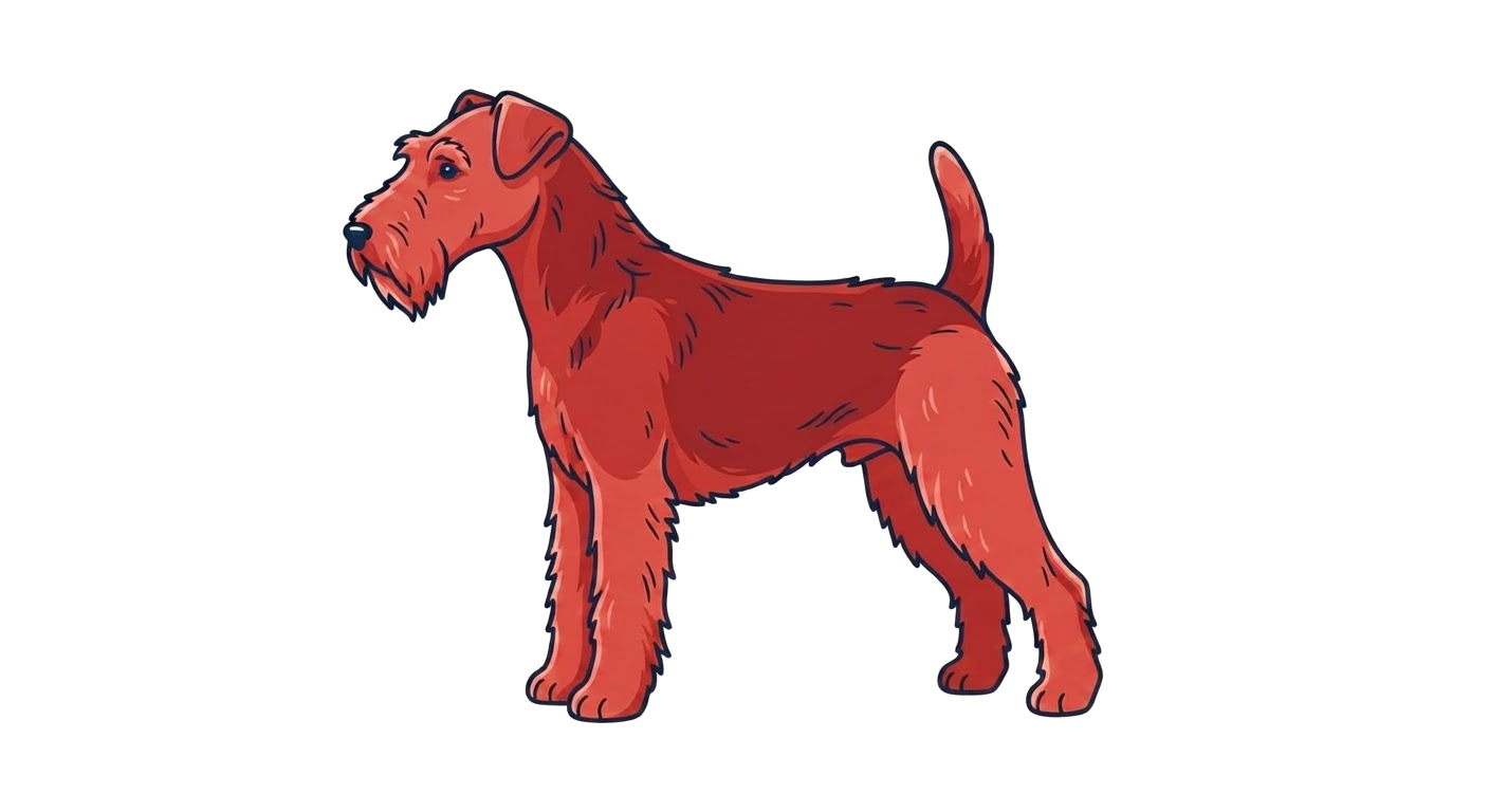 Illustration of a Red coat