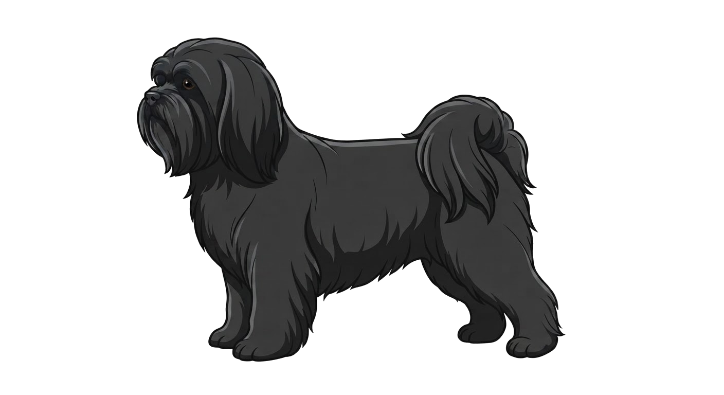 Illustration of a Black coat