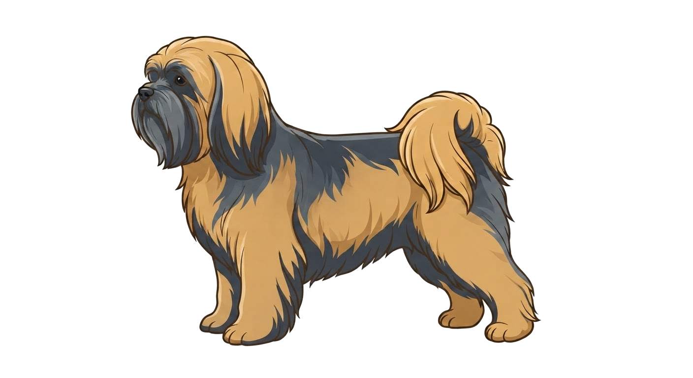 Illustration of a Grizzle coat