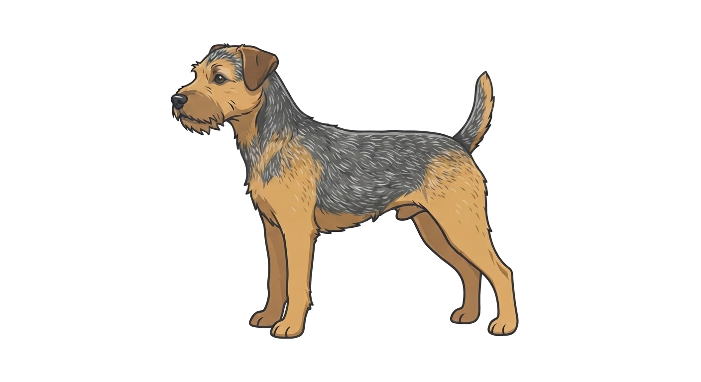 Illustration of a Grizzle & Tan coat