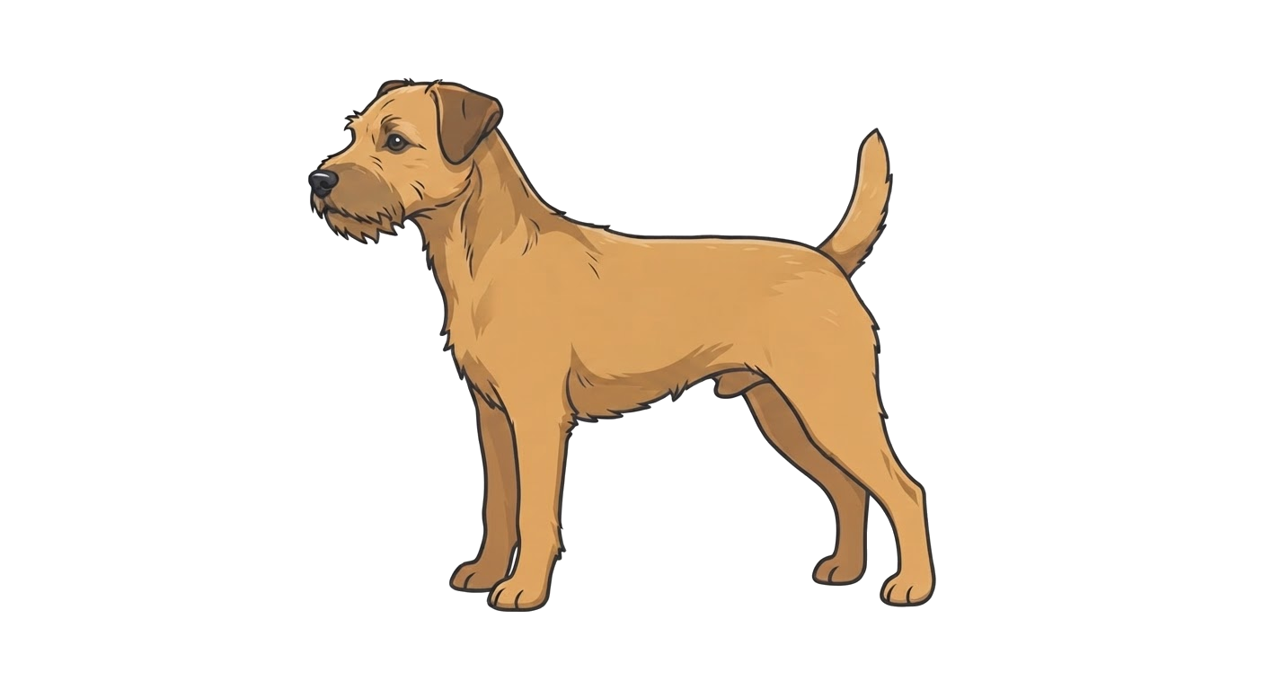 Illustration of a Tan coat