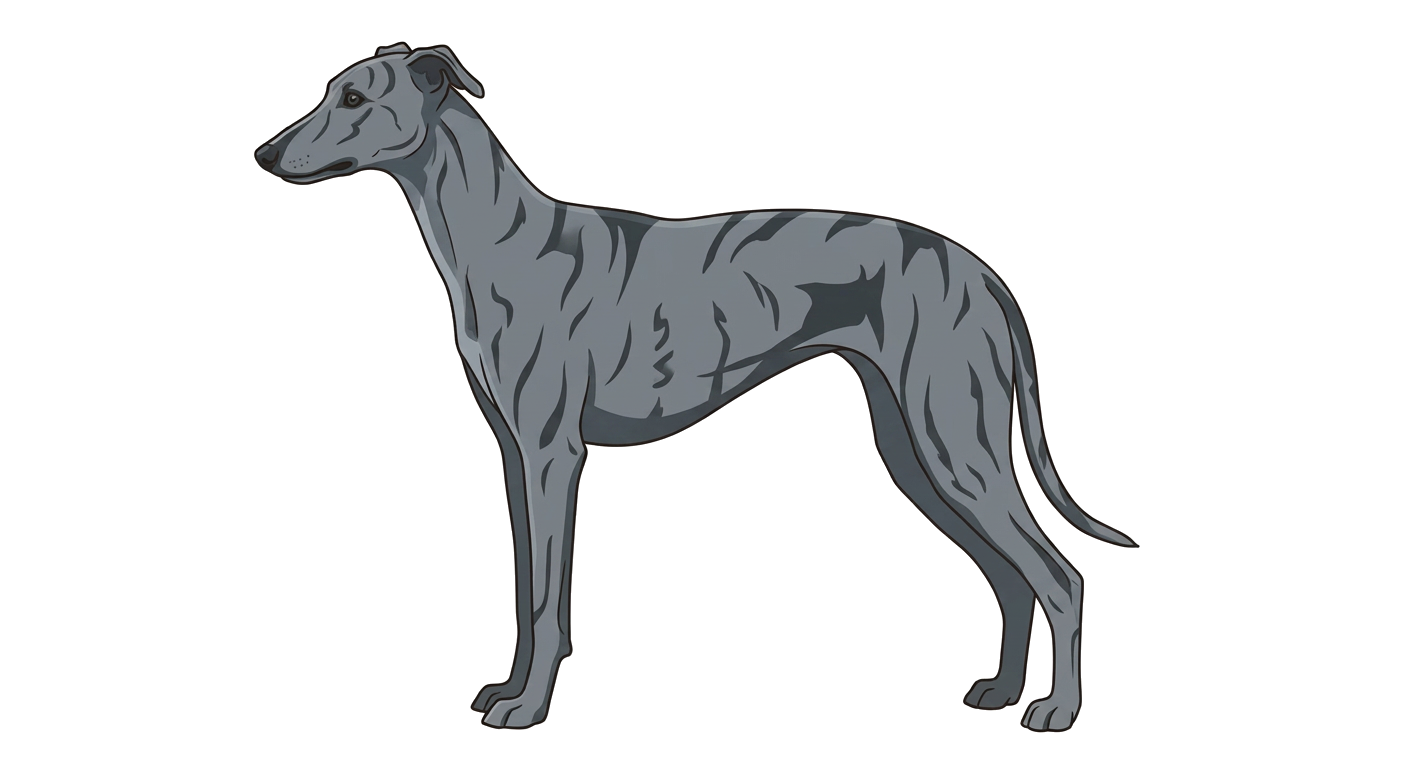 Illustration of a Blue Grey coat