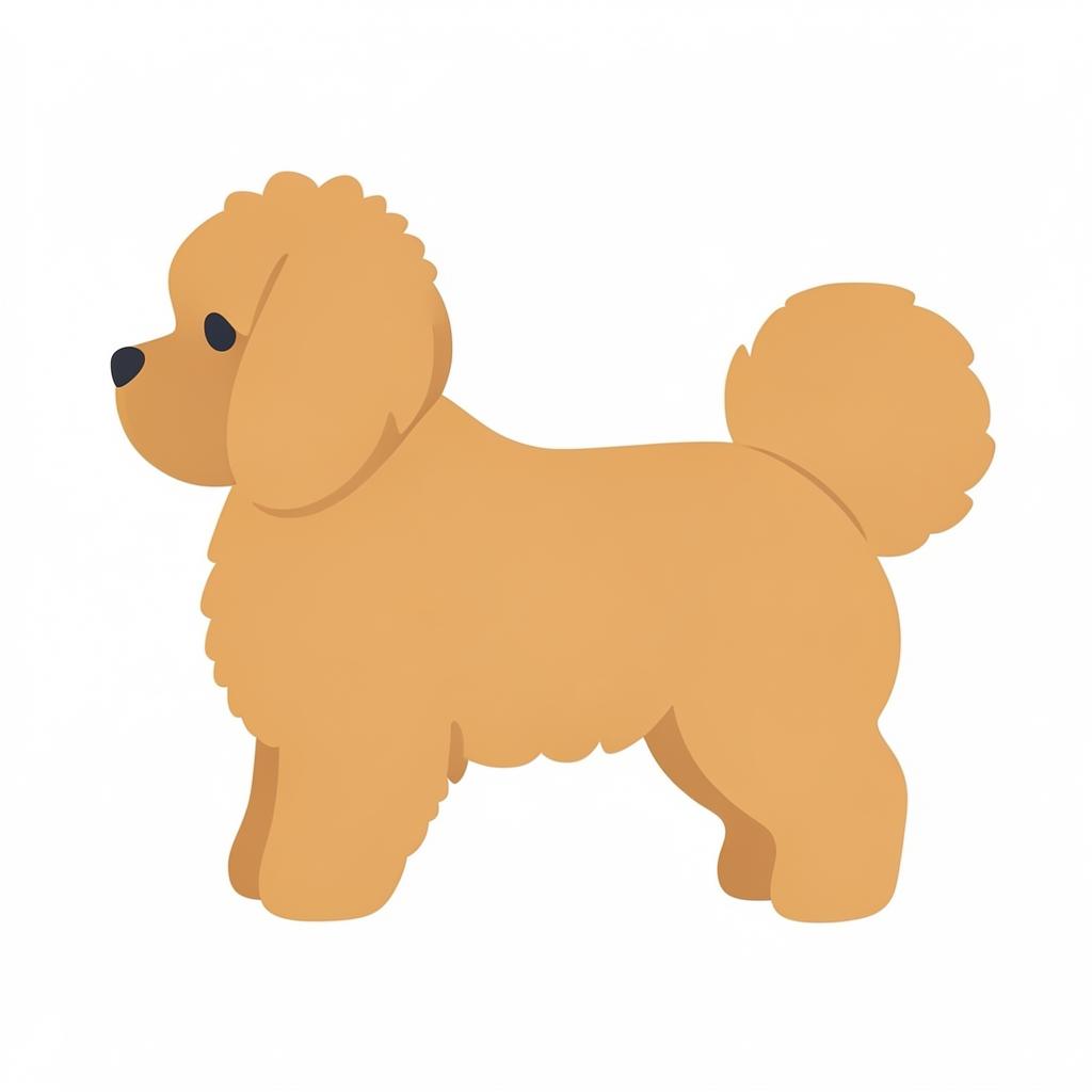 Illustration of a Apricot coat