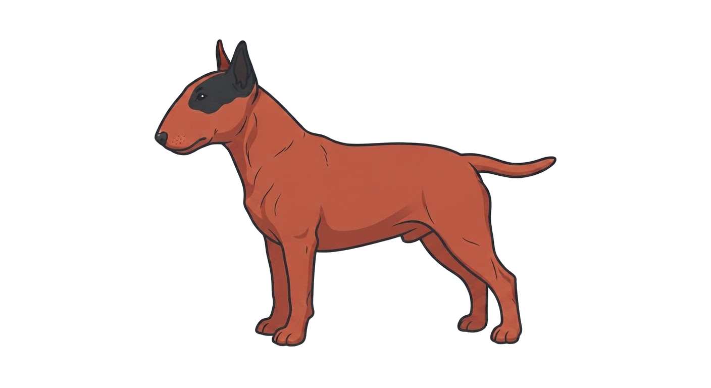 Illustration of a Red coat