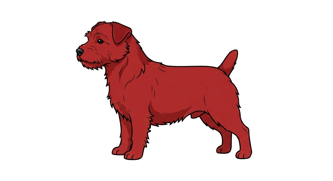 Illustration of a Red coat