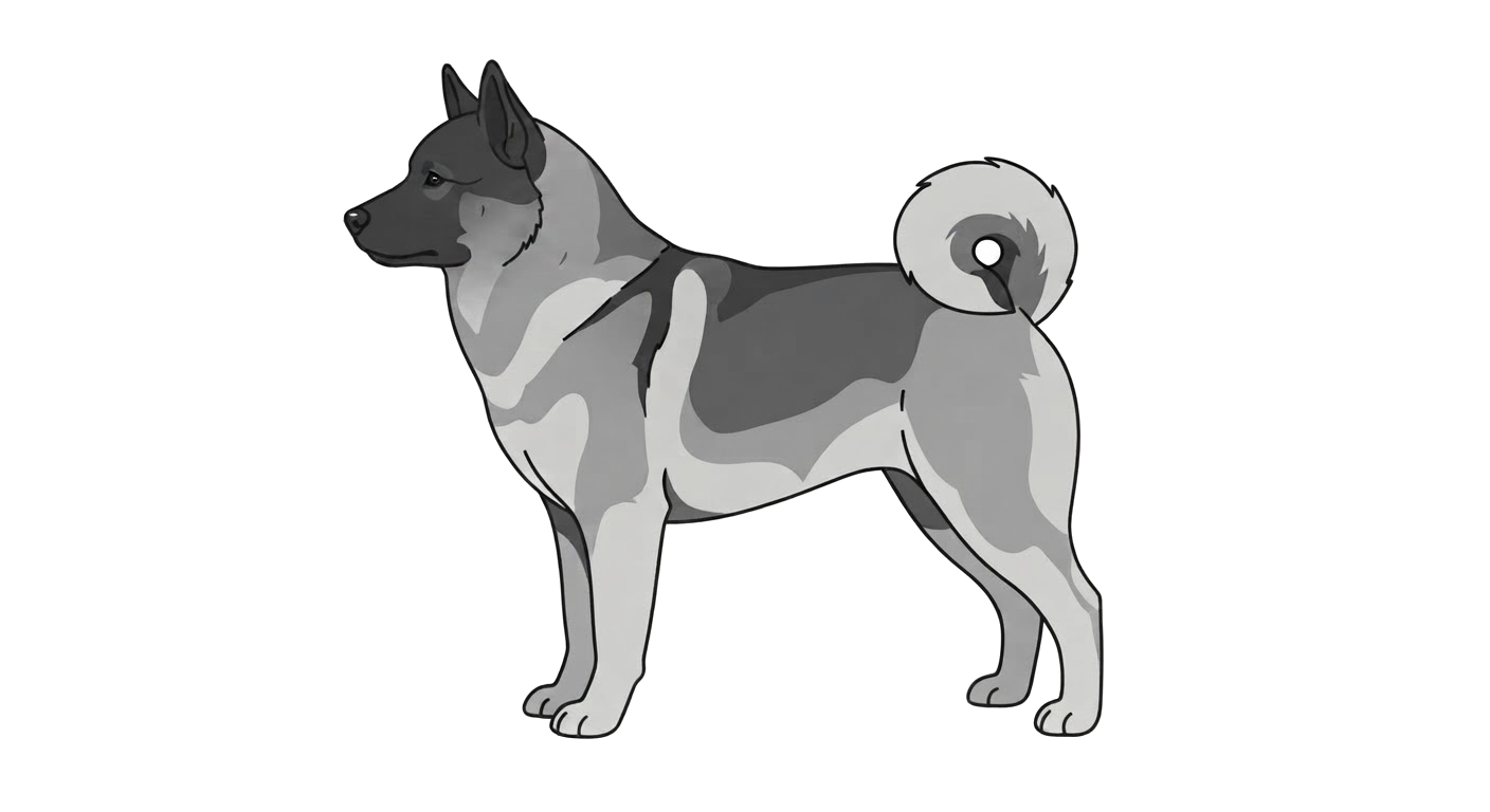 Illustration of a Grey coat
