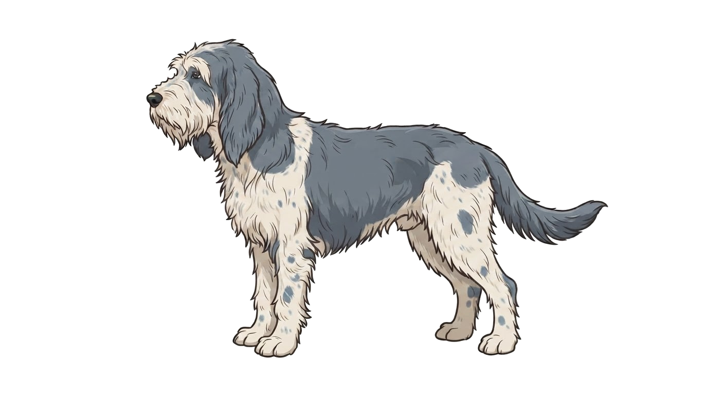 Illustration of a Blue and white coat