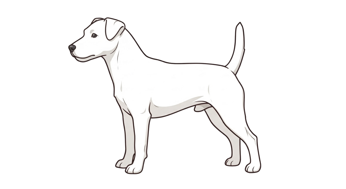 Illustration of a Solid white coat