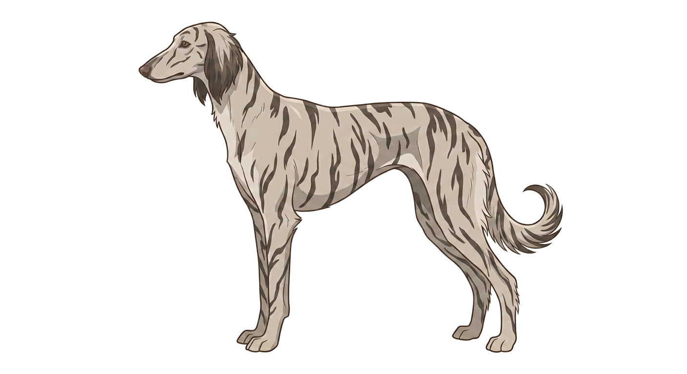 Illustration of a Brindle coat