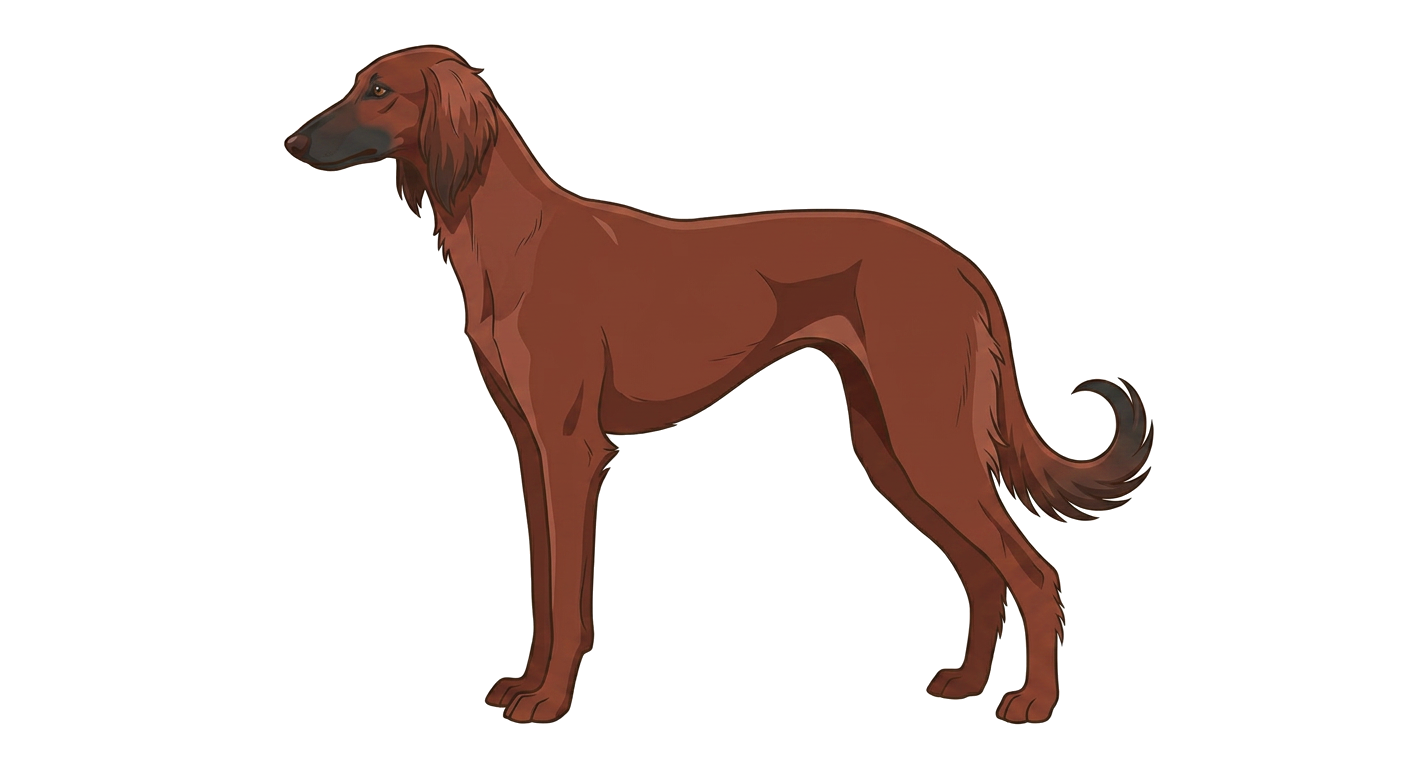 Illustration of a Red & Mahogany coat