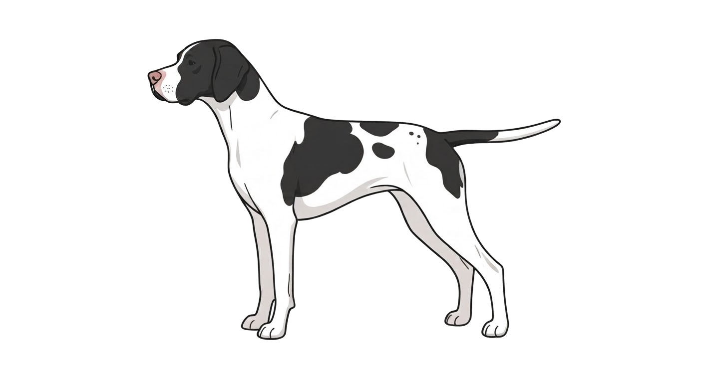 Illustration of a Black and white coat