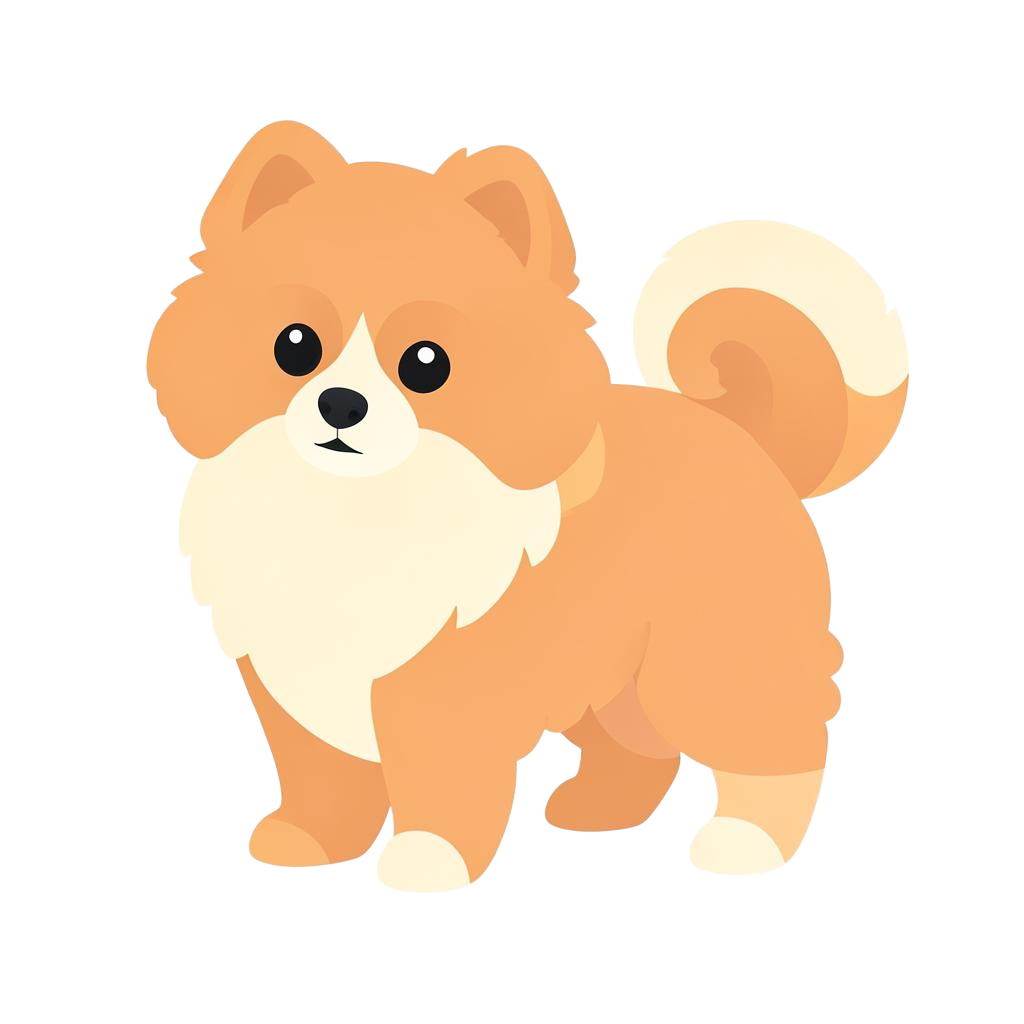 Flat vector illustration of a Pomapoo